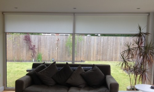 Modern style windows overlooking the garden with contemporary roller blinds